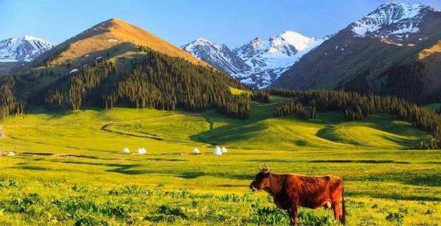 探寻新疆秘境之旅